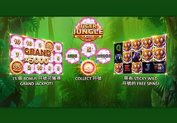 富遊娛樂城 老虎機叢林之王電子遊戲畫面